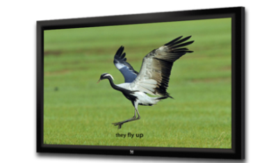 JK F10 150 Velvet Frame Screen 150" 323x202cm 16:10