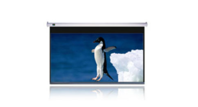 JK Electric Screen 150" 323cm x 202cm 16:10 JK E10 150