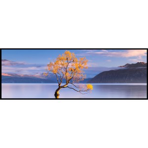 JK  F9120ALRS ALR Screen,120" 3.6mx1.085m, 32:9